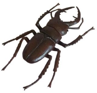 Obrázek z Figurka Brouk Roháč obecný 11,5cm 